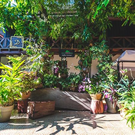 Mylaohome Guesthouse Luang Prabang Eksteriør billede
